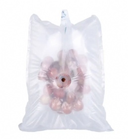 Air Bag-in-Bag