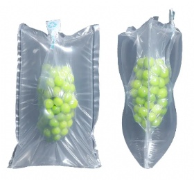 Air Bag-in-Bag